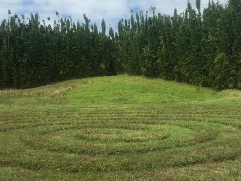 landsendt-gallery (1)