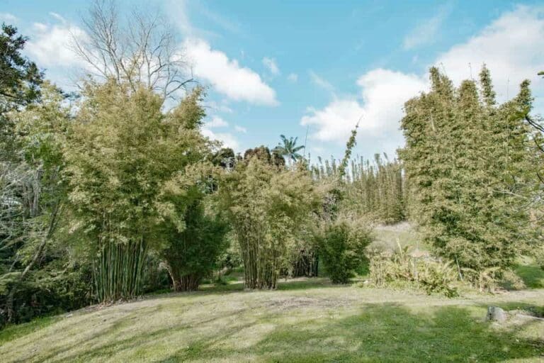 landsendt-gallery (12)