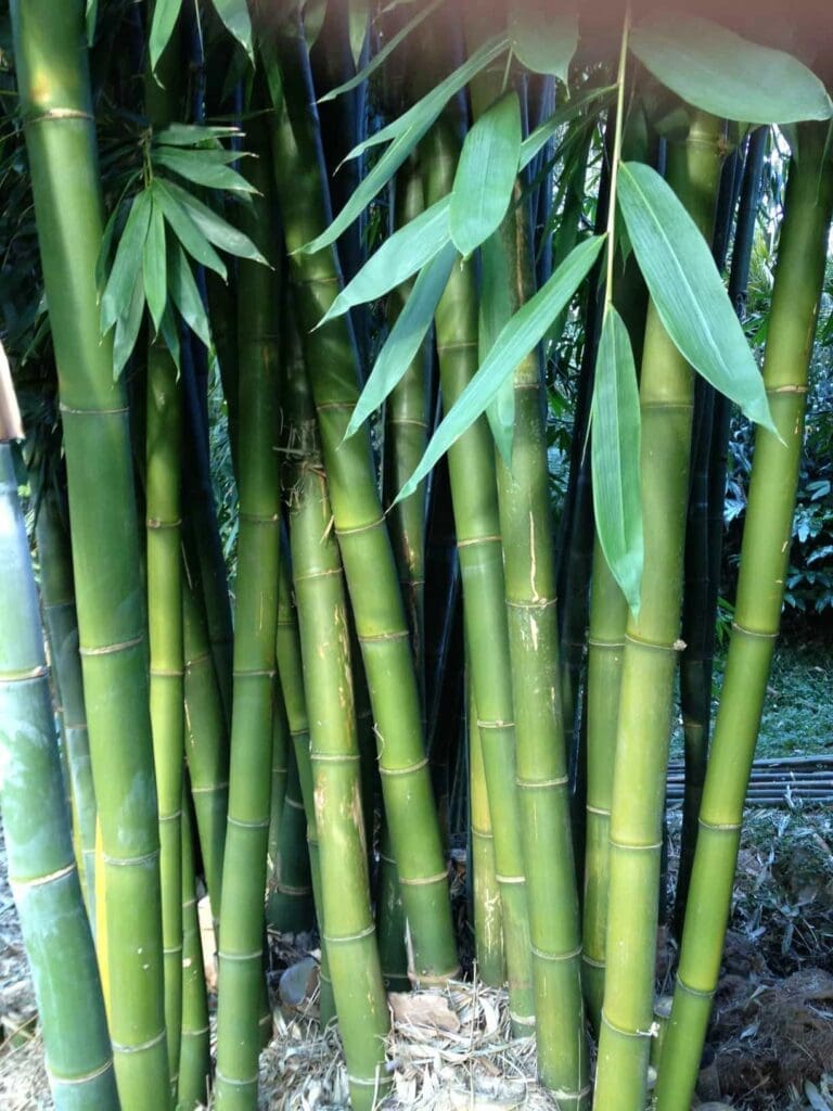 landsendt-gallery (18)