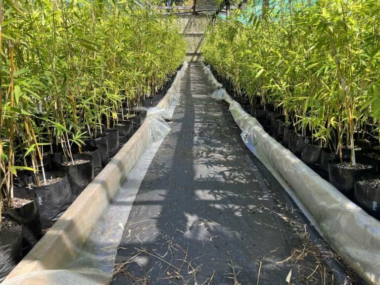 landsendt-gallery (19)