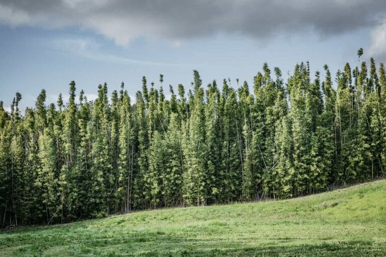 landsendt-gallery (2)