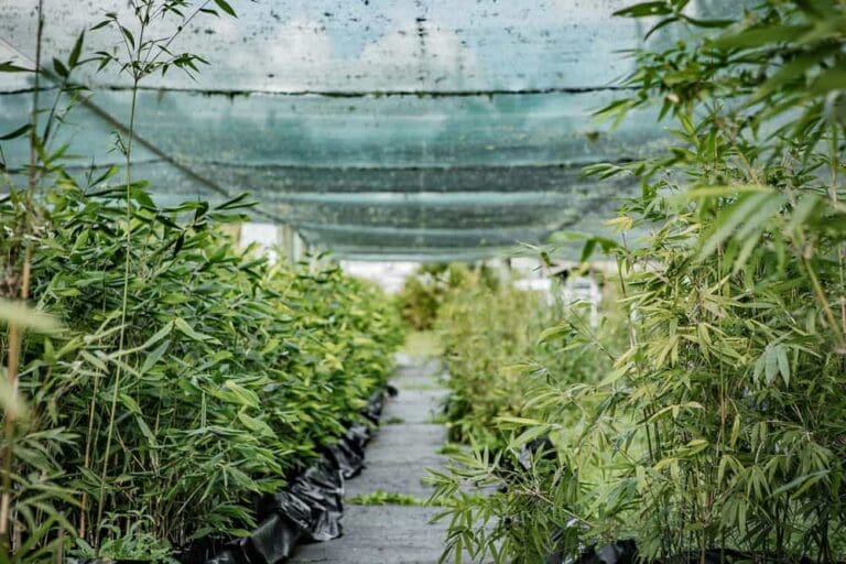 landsendt-gallery (3)