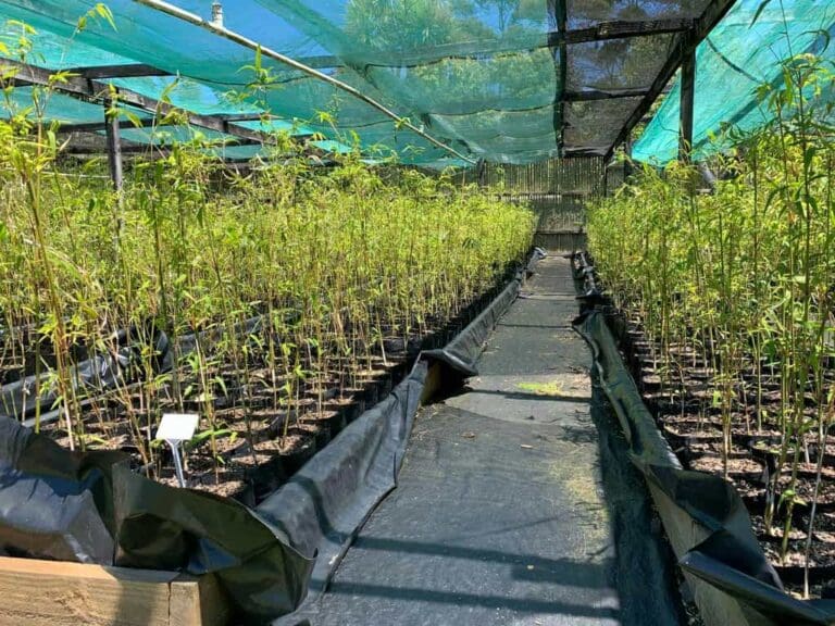 landsendt-gallery (5)