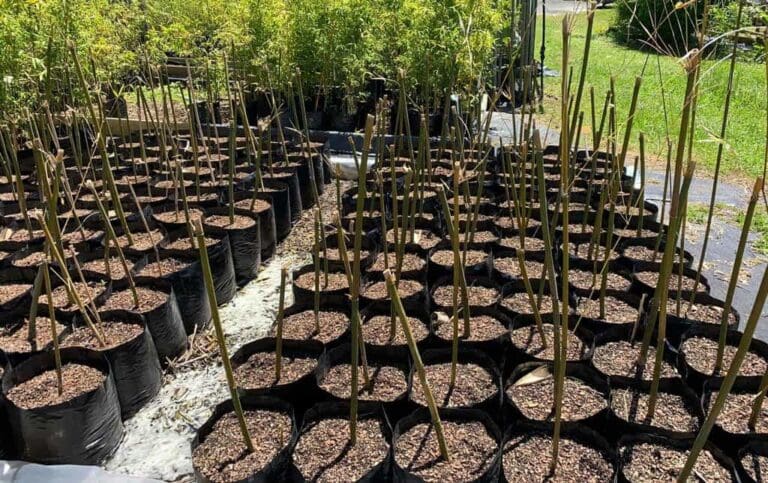 landsendt-gallery (6)