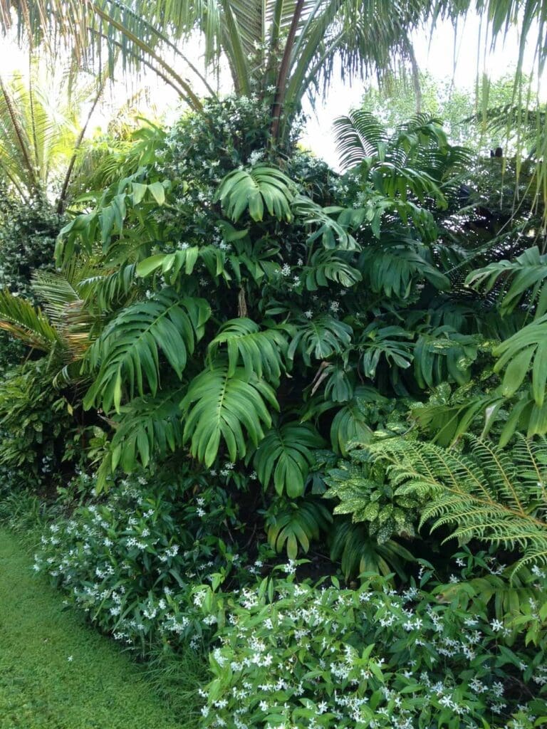 landsendt-gallery (8)