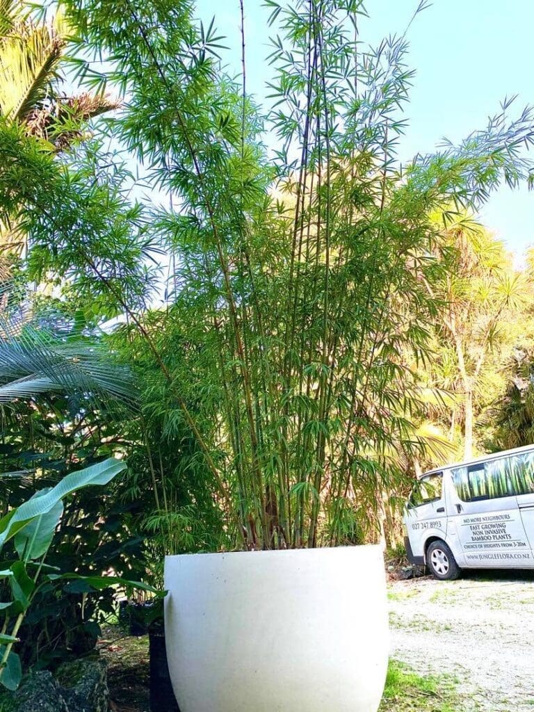 landsendt-gallery (9)