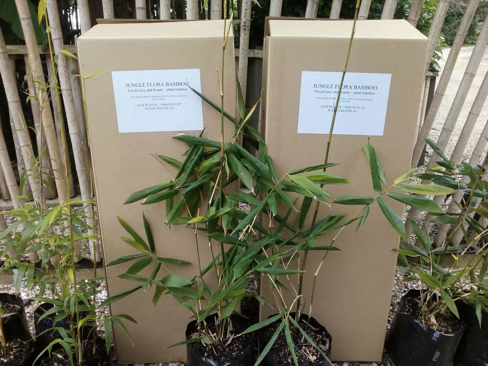 ordering_sliders (2)