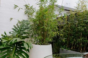 green_goddes_gallery_final (13)