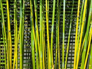 slender_weavers_gallery_final (4)